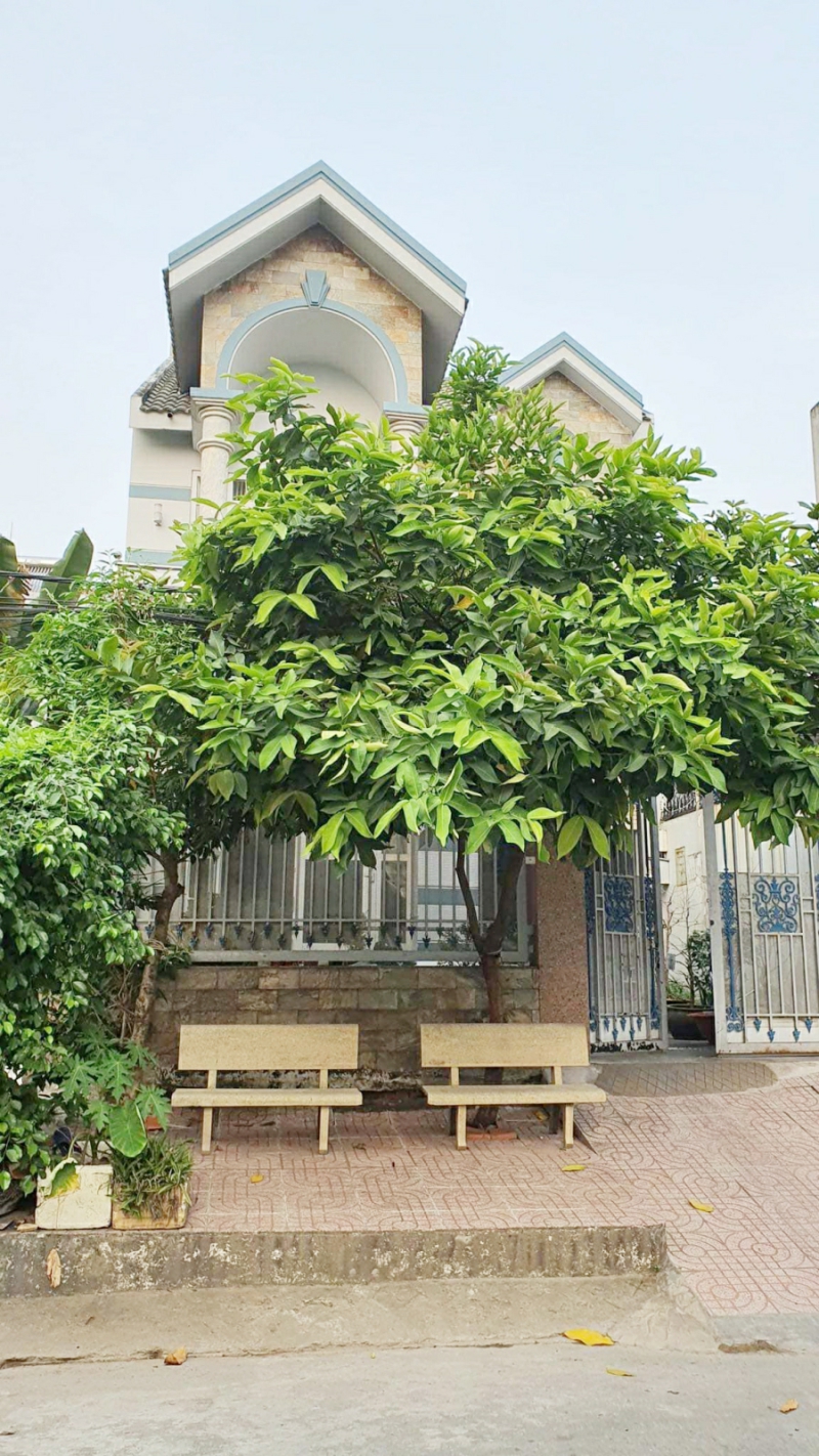 1-1753_2286549308218841_5223450963031960328_n